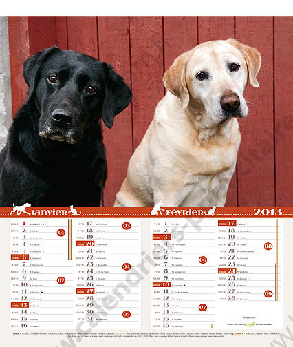 Calendriers publicitaires vide poches chats chiens, Chats et Chiens