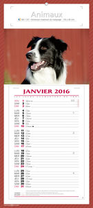 Calendriers publicitaires blocs mensuels,Animaux 3