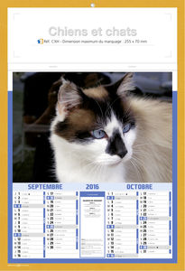 Calendriers publicitaires chats, Chiens et Chats 3