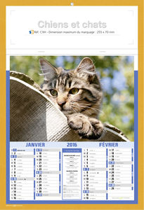 Calendriers publicitaires chats, Chiens et Chats 5