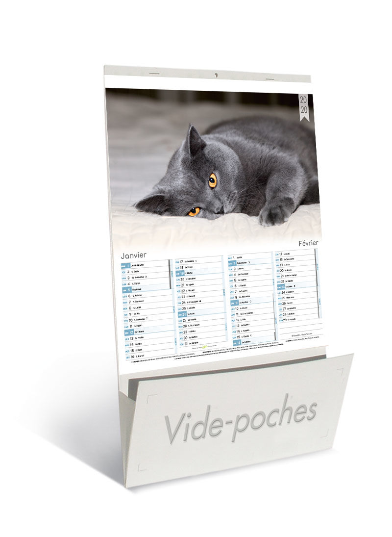 Calendriers Publicitaires Vide Poches Chats Chiens