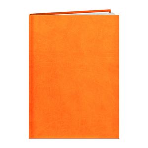 Agenda personnalisable A4 : Agenda personnalisable Londres large Orange 8