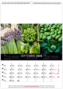 Calendrier mural couleurs marché 2025 8