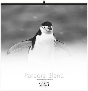 Calendrier personnalisé paradis blanc 2025 1