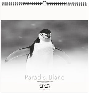 Calendrier personnalisé paradis blanc 2025 2