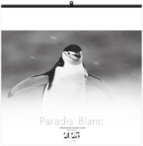 Calendrier personnalisé paradis blanc 2025 3