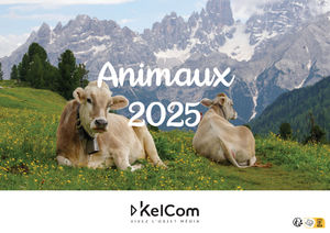 Calendrier publicitaire chevalet Animaux Paysage 13