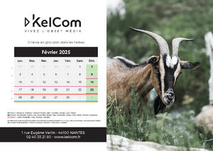 Calendrier publicitaire chevalet Animaux Paysage 2