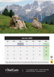 Calendrier publicitaire chevalet Animaux Portrait 1