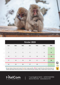 Calendrier publicitaire chevalet Animaux Portrait 2