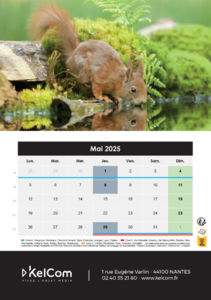 Calendrier publicitaire chevalet Animaux Portrait 5