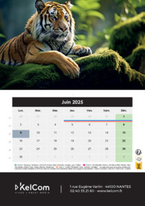 Calendrier publicitaire chevalet Animaux Portrait 6