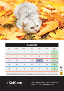 Calendrier publicitaire chevalet Animaux Portrait 8