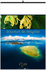 Calendrier entreprise douceurs de mayotte 2025 3